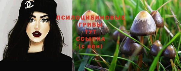 PSILOCYBIN Сосновоборск