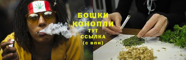 стафф Вяземский