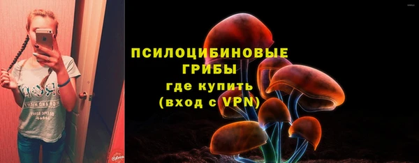 PSILOCYBIN Сосновоборск