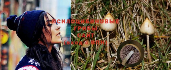 скорость Сосновый Бор
