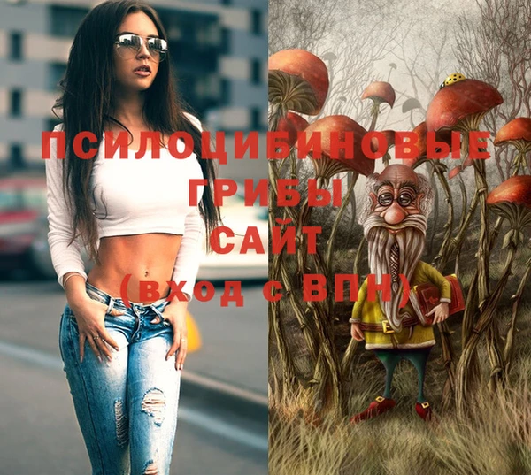 ешки Ступино