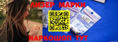 индика Гатчина