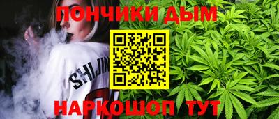 индика Гатчина