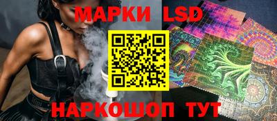 индика Гатчина