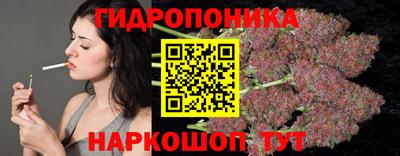 индика Гатчина